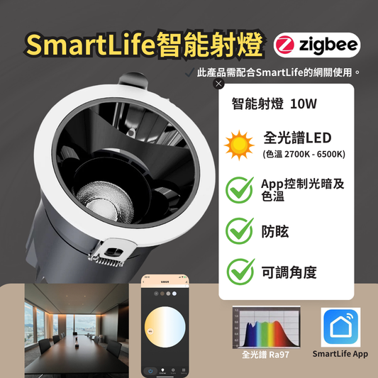 【Smart life 智能射燈】